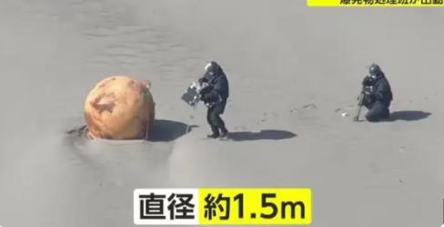 日本海岸现不明球状物:直径1.5米 已派处理小组进行调查
