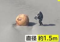 日本海岸现不明球状物:直径1.5米 已派处理小组进行调查