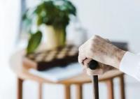高学历低龄老人线上求职碰壁 背后真相实在是令人深思