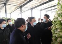 湖南省委书记调研土坑酸菜事发地 小小的酸菜备受关注