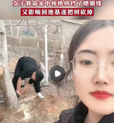 女子算命核桃树挡姻缘家人将树砍掉 原因竟是这样实在是太意外了