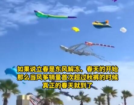 海洋风筝爆火 网友:春天的信号比迎春花还准梦幻治愈