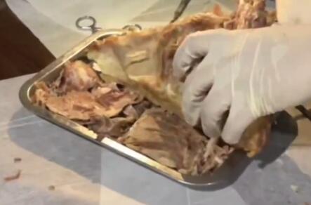 医学生吃烧烤花1小时解剖猪头 为什么这么做原因是什么?