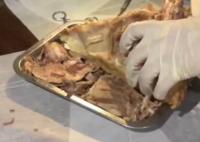 医学生吃烧烤花1小时解剖猪头 真相揭露真的令人大吃一惊