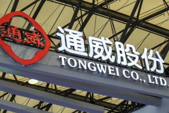 通威集团刘舒琪个人资料图片 