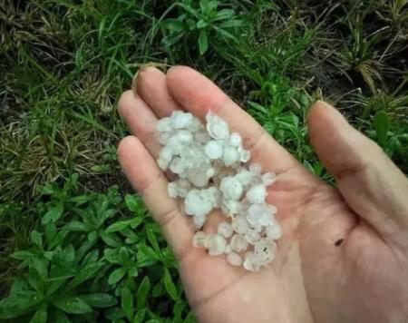 密集落下!实拍北京多地突降冰雹 狂风大作雨水中夹着冰雹