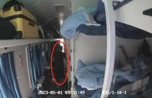 男子列车上猥亵女子被拘10天 真相离谱实在是太荒唐了