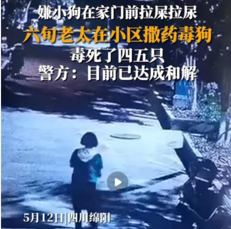 女子疑在小区内撒药致多条狗死亡 背后原因简直惊呆了众人