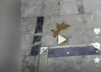 安徽滁州一小区内有人高空抛下粪便 真相曝光简直太惊人了