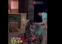 动物园回应员工呵斥抽打小狗 真相离奇让人直呼太意外