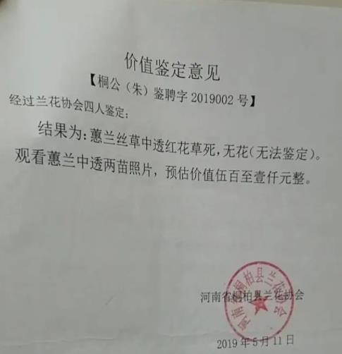 农妇掐走两枝兰花被判三缓四 原因竟是这样实在是太意外了