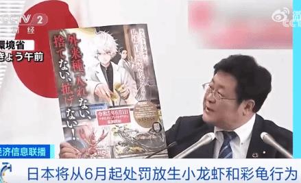 日本6月起禁止出售或放生小龙虾 原因竟是这样实在是太意外了