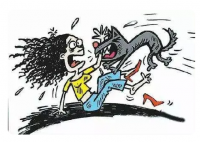 学校回应校内数只大型犬咬伤学生 真相曝光简直太惊人了