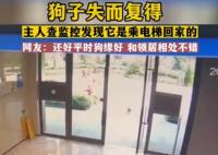 狗狗嫌天热自己坐电梯回家 原因竟是这样实在是太意外了
