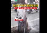 高温天气西安一行道树冒白烟 原因太出乎意料了