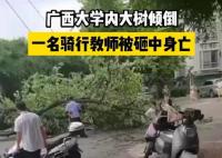 校方回应教师被树砸中身亡 原因太出乎意料了