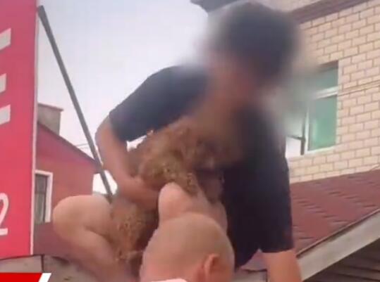 涿州男子获救后折返找狗被吐槽 到底是什么情况?