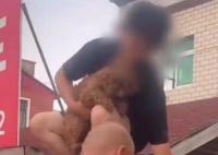 涿州男子获救后折返找狗被吐槽 真相曝光简直太惊人了
