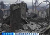 夏威夷山火已致80死 中国游客讲述 真相曝光简直太惊人了