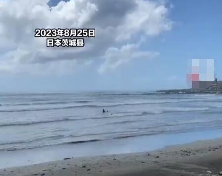 核污水排海后日本人在海里游泳 真相曝光简直太惊人了