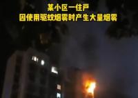 用驱蚊烟雾后开电扇瞬间爆燃 真相曝光简直太惊人了