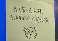 重庆一公司回应新员工可领猫 成为网友们口中的“神仙公司”