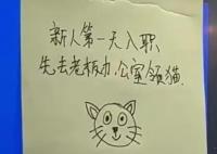 重庆一公司回应新员工可领猫 成为网友们口中的“神仙公司”
