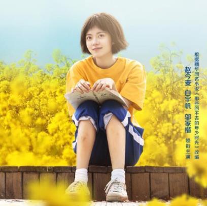 那些回不去的年少时光演员表介绍