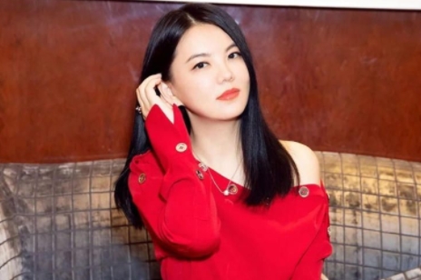李湘为什么那么有钱?