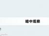 暗中观察网络梗词解释