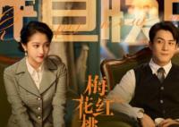 梅花红桃左双桃代号叫什么?