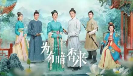 为有暗香来仲溪午为什么喜欢华浅?