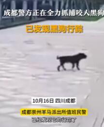 警方已发现咬人黑狗行踪 恶犬伤人该受到什么样的处理?