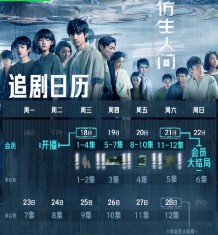 仿生人间追剧日历一览表