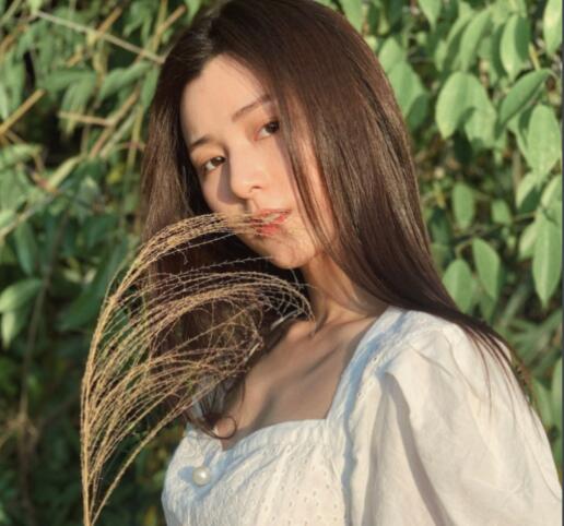 郑舒环演过的电视剧有哪些?