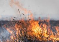 秸秆焚烧对大气环境产生的危害有哪些?