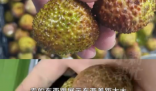 8岁男孩花1万多网购26箱荔枝 画面曝光简直不忍直视