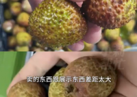 8岁男孩花1万多网购26箱荔枝 画面曝光简直不忍直视
