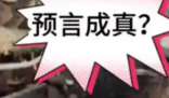 日本末世预言有民众随身带遗嘱 究竟是怎么回事？