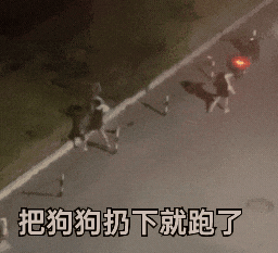 小狗遭主人2次扔弃哀嚎仍被遗弃 究竟是怎么回事？