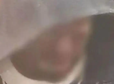 澳男子头部中枪被活埋 奇迹爬出坟墓 到底是不是真的？