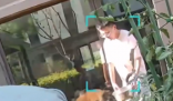 朋友用狗喝水的盆浇花被狗撕咬 内幕实在让人惊个呆