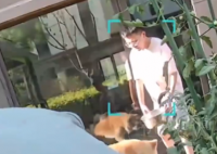朋友用狗喝水的盆浇花被狗撕咬 内幕实在让人惊个呆