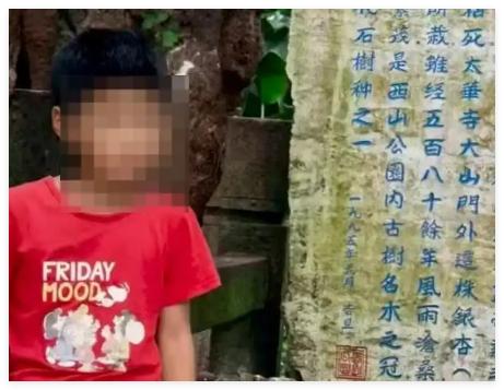 大理洱海12岁走失自闭症儿童已找到 背后真相实在让人惊愕