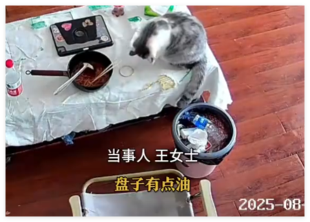 3万金镯子被猫推进垃圾桶后扔了 到底是什么情况？