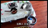 3万金镯子被猫推进垃圾桶后扔了 到底是什么情况？