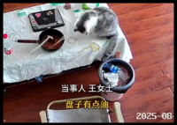 3万金镯子被猫推进垃圾桶后扔了 到底是什么情况？