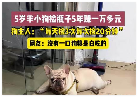 5岁半小狗捡瓶5年攒下万元存款 背后真相实在让人惊愕