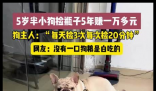 5岁半小狗捡瓶5年攒下万元存款 背后真相实在让人惊愕