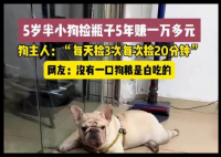 5岁半小狗捡瓶5年攒下万元存款 背后真相实在让人惊愕